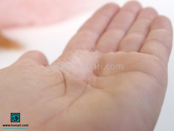 Ø¨Ø±Ø§Û Ø¯Ø±Ø³Øª کرد٠شکÙÙÙ Ú¯ÛÙØ§Ø³Ø تک٠کÙÚÚ©Û Ø§Ø² اÙÛØ§Ù ØµÙØ±ØªÛ برداشتÙ