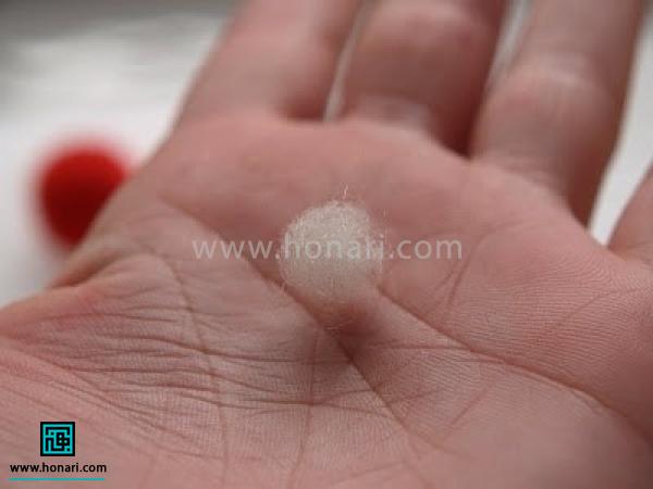 ÛÚ© تک٠کÙÚÚ© Ø¨Ù Ø§ÙØ¯Ø§Ø²Ù ÙØ§Ø®Ù از اÙÛØ§Ù سÙÛØ¯ برداشتÙ