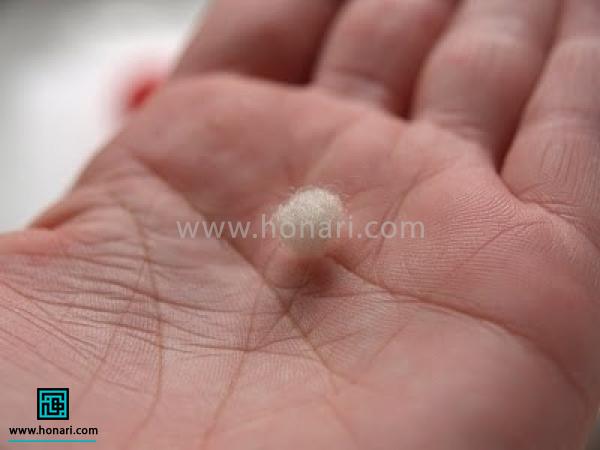 بر رÙÛ Ú©Ù Ø¯Ø³Øª Ø®ÙØ¯ رÙ٠کرد٠تا شک٠تÙÙ¾Ú©Û Ø¨Ù Ø®ÙØ¯ Ø¨Ú¯ÛØ±Ø¯