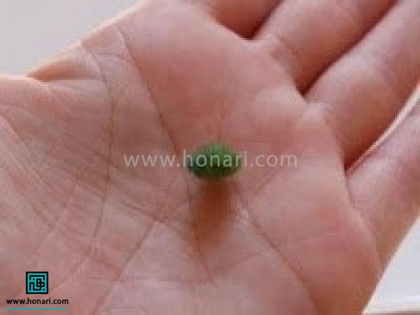 آموزش ساخت کدو تنبل با الیاف کچه دوزی-مرحله 12 به اندازه یه ناخن الیاف سبز برای برگ کدو تنبل برداشته کف دست بصورت توپک درآورده