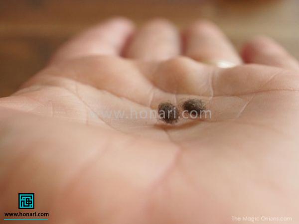 د٠تک٠کÙÚÚ© اÙÛØ§Ù ÙÙÙÙ Ø§Û Ø±Ø§ ک٠دست Ø¨ØµÙØ±Øª تÙÙ¾ Ø¯Ø±Ø¢ÙØ±Ø¯Ù