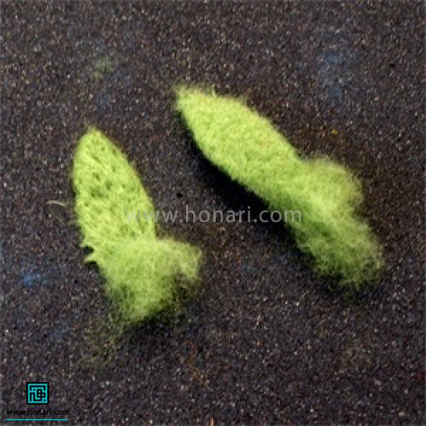 با Ø§Ø³ØªÙØ§Ø¯Ù از اÙÚ¯ÙÛ Ø¨Ø±Ú¯ اÙÛØ§Ù سبز رÙÚ¯ را شک٠دÙÛØ¯.