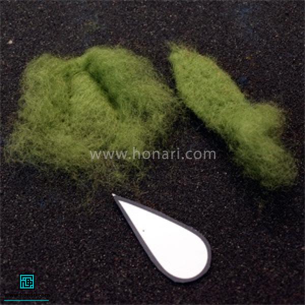 Ø¨Ø±Ø§Û Ø¨Ø±Ú¯ ÙØ§ ÙÛØ² Ù
ÙØ¯Ø§Ø±Û از اÙÛØ§Ù سبز برداشتÙ