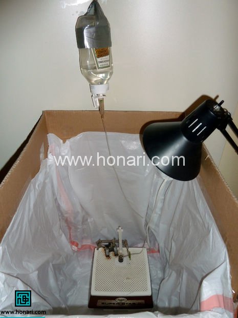 شیشه های رنگی