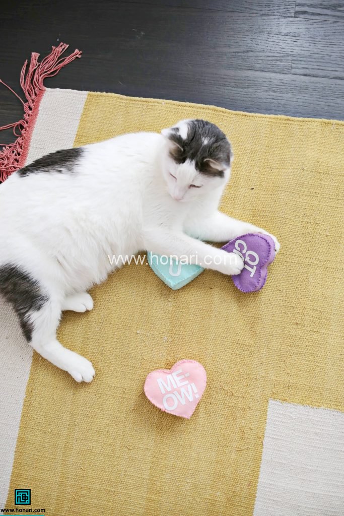 کاردستی با نمد