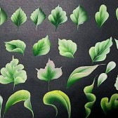 نمونه‌کار آموزش تکنیک وان استروک (نقاشی تک ضربه ای)