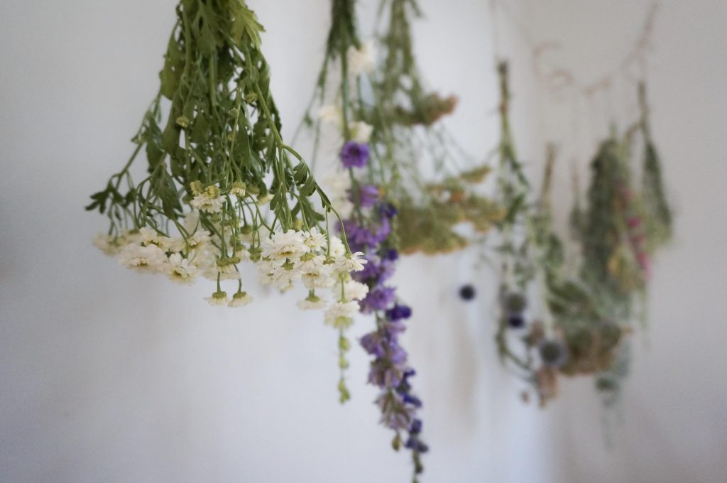 چجوری گل خشک کنیم؟