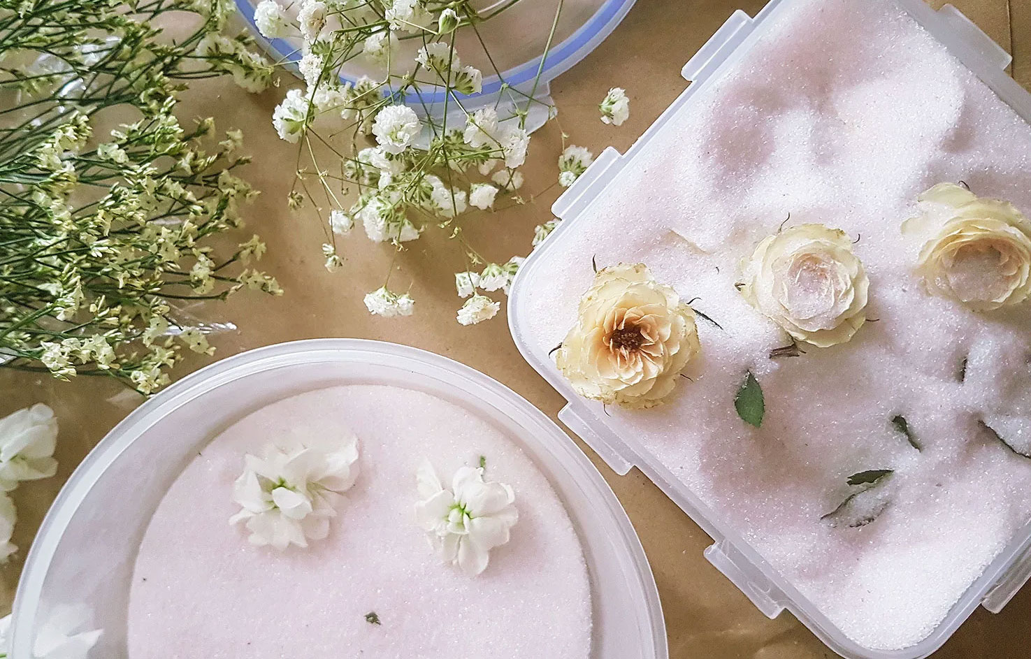 خشك كردن گل بدون تغيير رنگ با سیلیکاژل