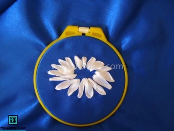 با زدن شلال کل دایره را پر کنید 