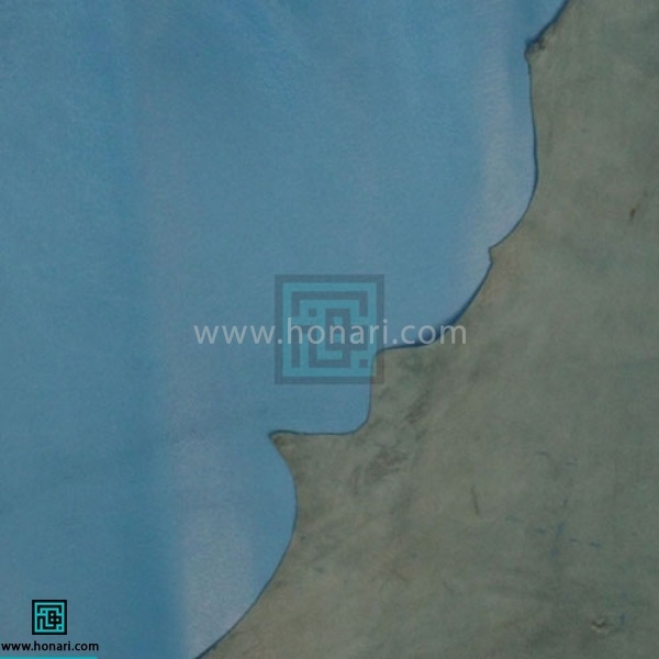 چرم بزی: تراکم الیاف آن به نسبت چرم گاوی کمتر ولی از چرم گوسفندی بیشتر است و مقاومت بالایی دارد. محل خروج مو به وضوح بر روی چرم مشاهده می شود و به راحتی از سایر چرم ها قابل تشخیص است. با توجه به کاربرد آن به دو صورت نرم و خشک ارائه می شود. موارد مصرف آن در انواع کیف و کفش زنانه می باشد 