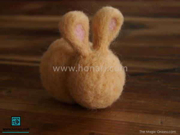 نحوه قرار گیری گوش ها روی سر و بعد از پایان سوزن زنی 