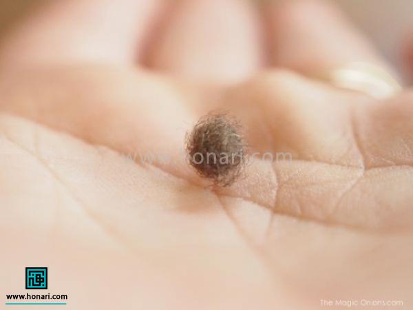 برای چشم ها هم مقداری الیاف قهوه ای برداشته با دست بصورت گرد در آورده و در محل چشم قرار داده و تا زمانی که محکم شود سوزن می زنید