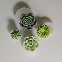 قالب سیلیکونی ساکولت ۴ عددی کد 6002