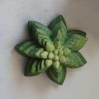 قالب سیلیکونی کاکتوس کد206