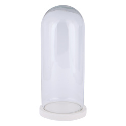 باکس شیشه ای استوانه 30*11 cm کد 4028