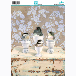 کاغذ دکوپاژ سایز A4 کد 2191