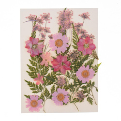 بسته گل خشک طیف صورتی