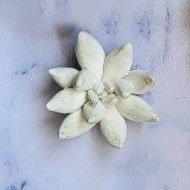 قالب سیلیکونی کاکتوس کد208