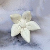 قالب سیلیکونی کاکتوس کد214