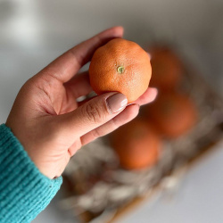 قالب سیلیکونی نارنگی کد ۱