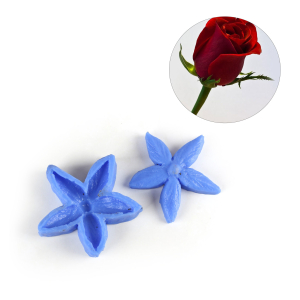 وينر سيليکونی کاسبرگ رز