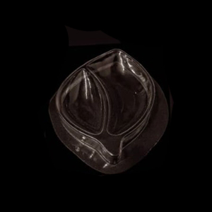 قالب طلقی کد 826