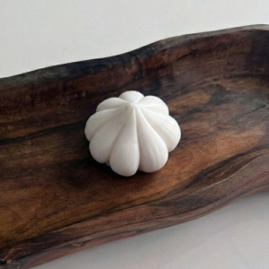 قالب سیلیکونی سیر